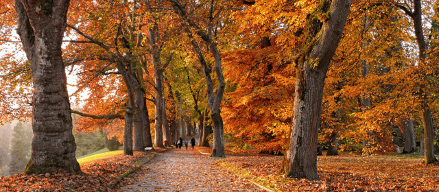 Business Energy Saving Tips: How to Cut Costs This Autumn (2025 Guide)