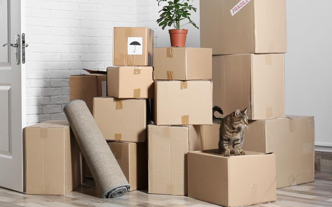 Relocating Your Business? Here’s How Moving Affects Your Energy Contract