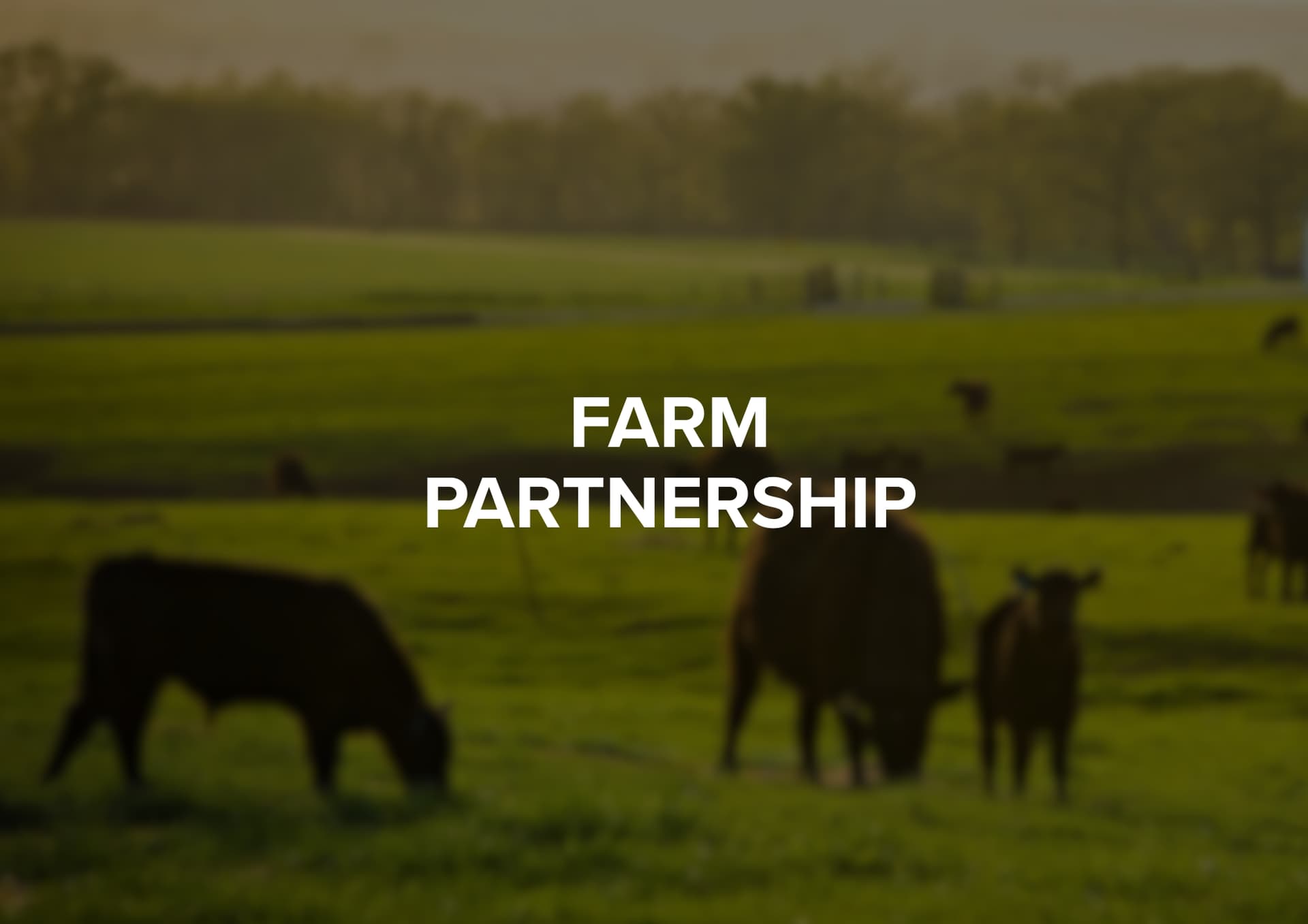 How Ecosave Helped a Farm Owner Close Energy Accounts Stress-Free and Save Money